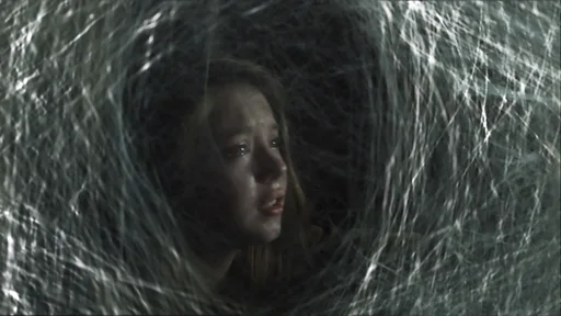 Spiders 3D