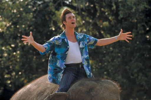 #Subleffa: Ace Ventura - luonto kutsuu