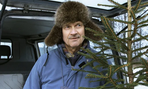 Joulukuusivarkaat