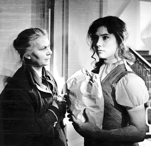 Kino: Kurjet lentävät