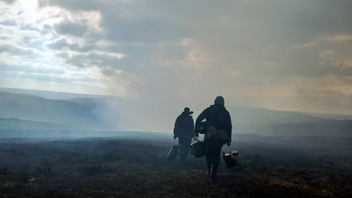 Kino: God's Own Country
