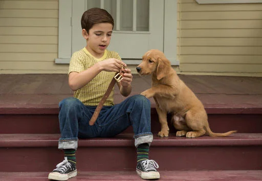 Subleffa: A Dog's Purpose