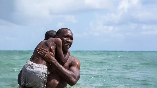 Kino: Moonlight