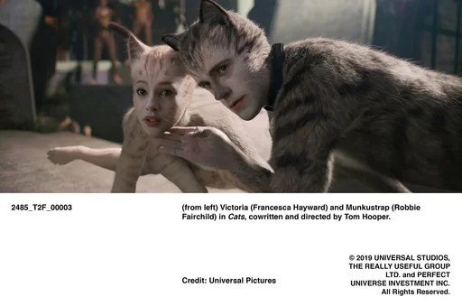 Cats