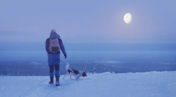 Lapland Dreaming