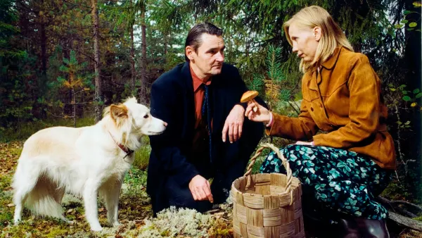 Mies vailla menneisyyttä