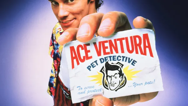 Ace Ventura - Lemmikkidekkari