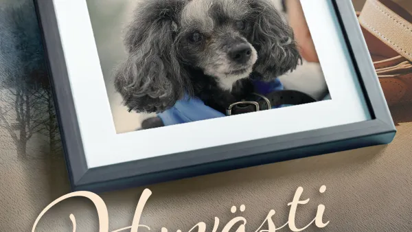 Asian ytimessä.doc: Hyvästi ystäväni