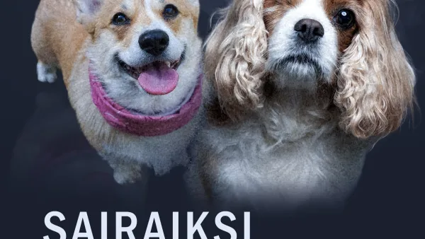 Asian ytimessä.doc: Sairaiksi jalostetut