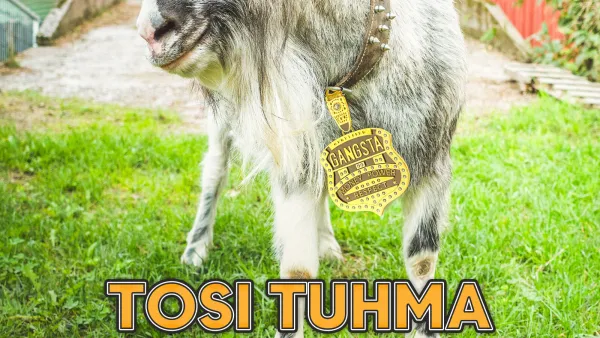 Asian ytimessä.doc: Tosi tuhma Seppo