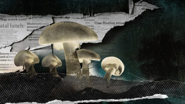 Australian sienimurha