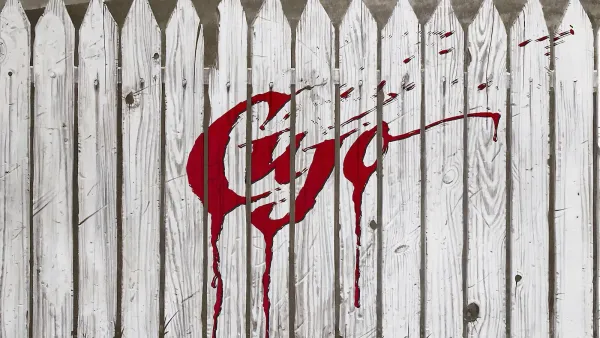 Cujo – kauhun silmät
