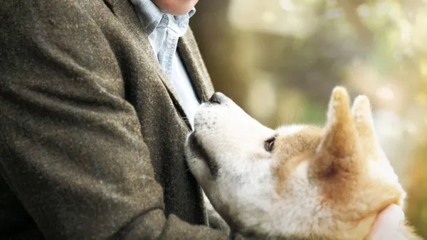 Hachiko – tarina uskollisuudesta