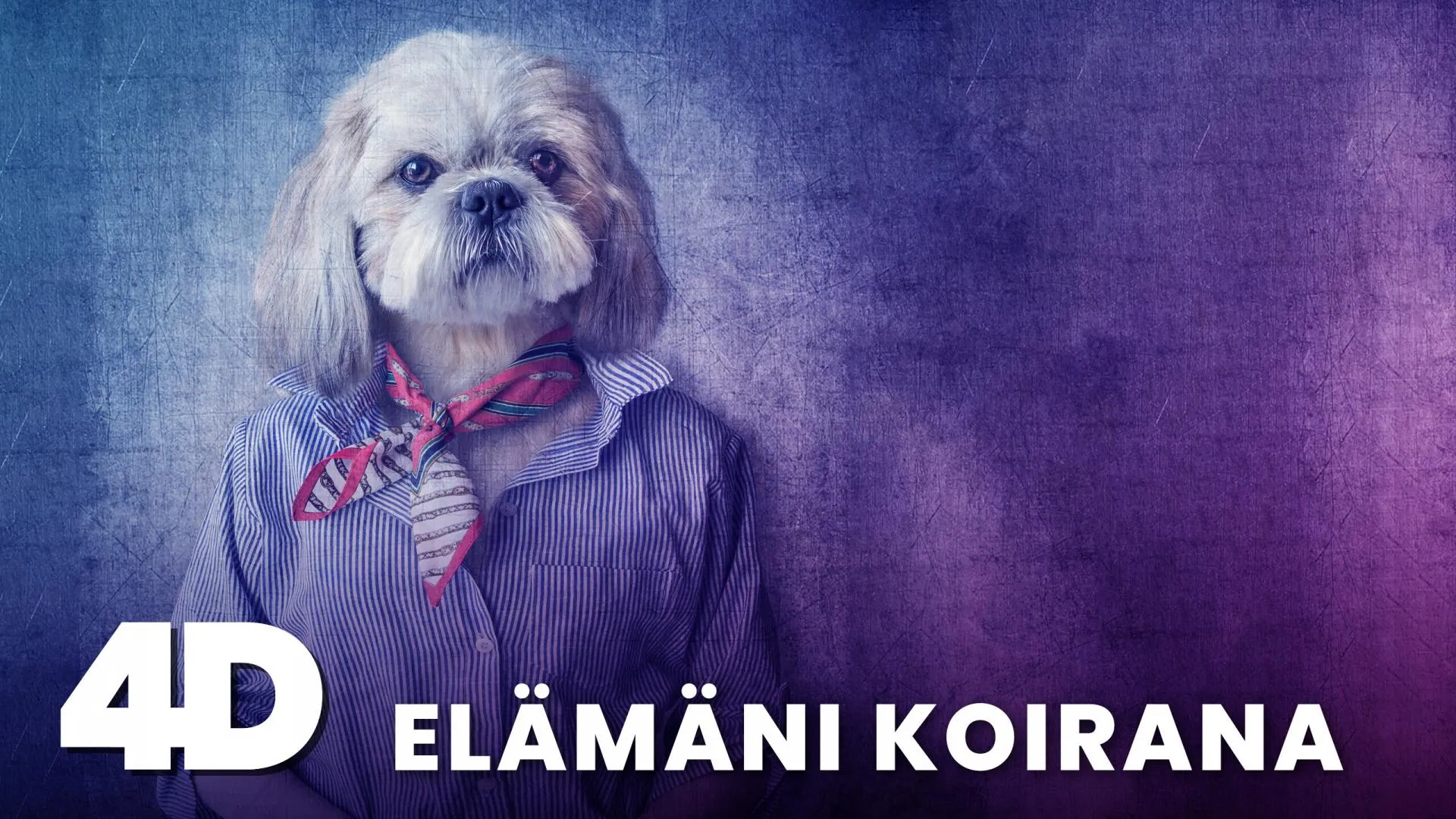 4D: Elämäni koirana