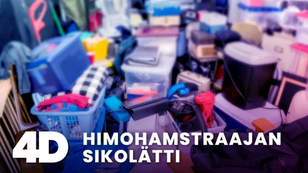 4D: Himohamstraajan sikolätti