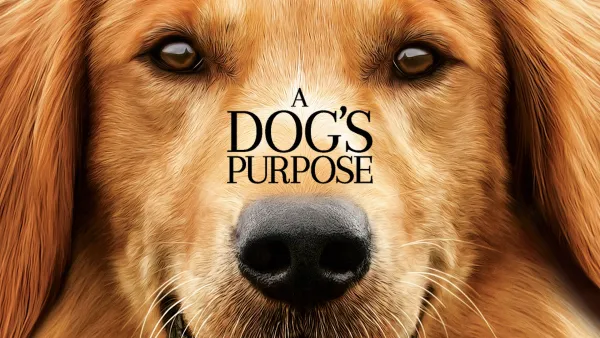 A Dog’s Purpose