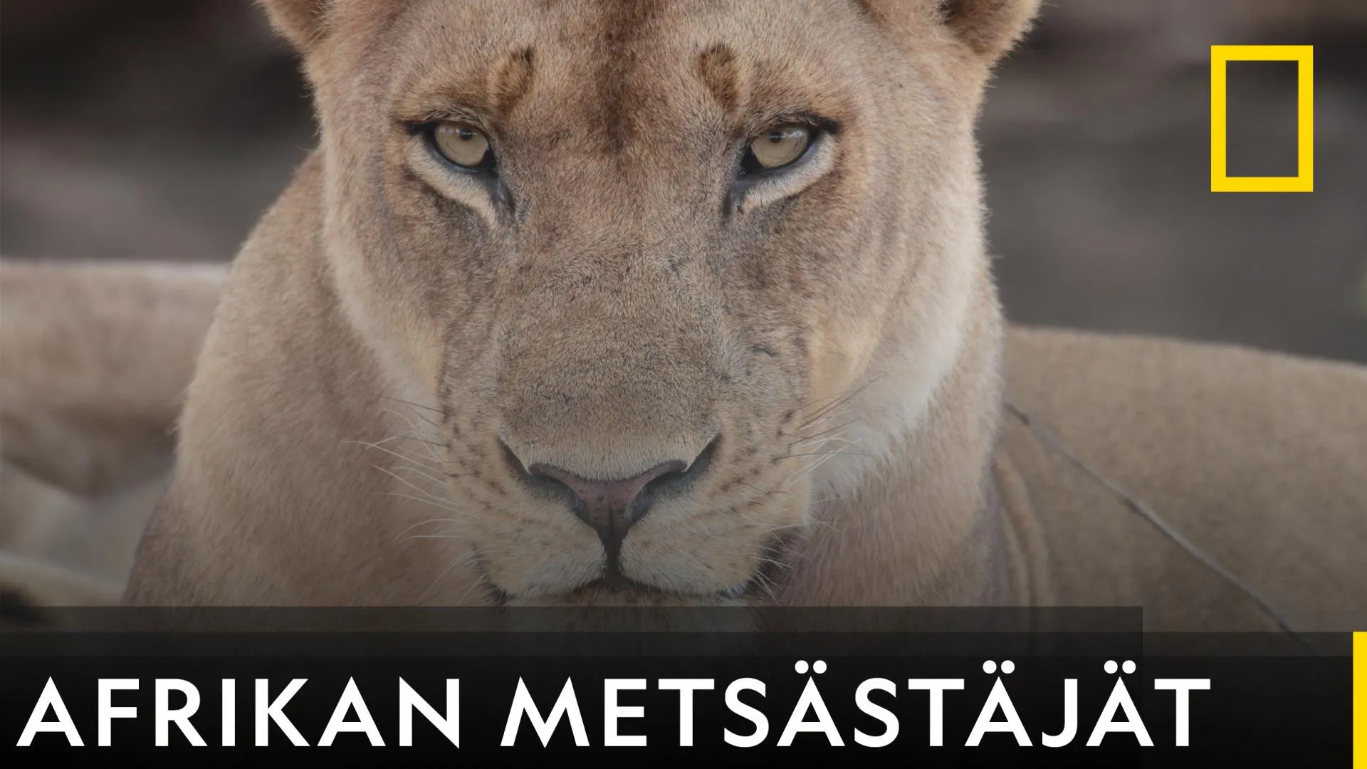 Afrikan metsästäjät