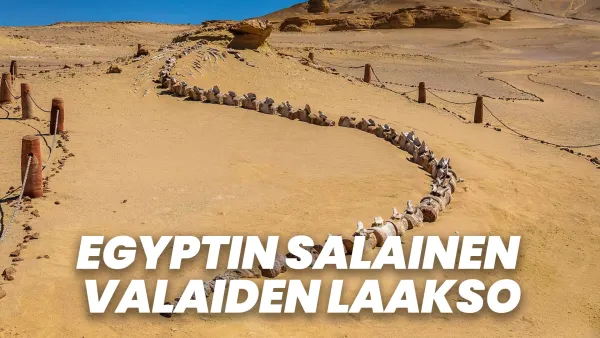 Egyptin salainen valaiden laakso