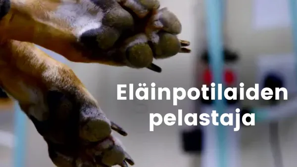 Eläinpotilaiden pelastaja