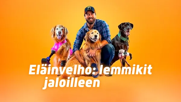 Eläinvelho: lemmikit jaloilleen