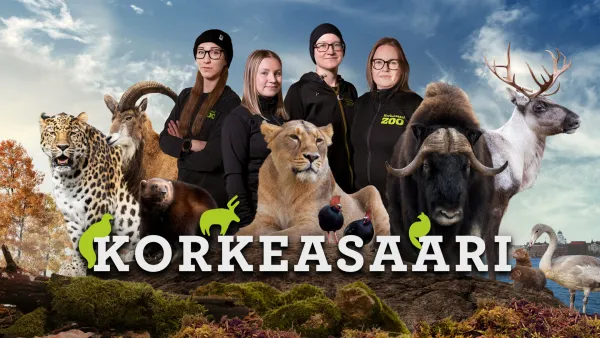 Korkeasaari