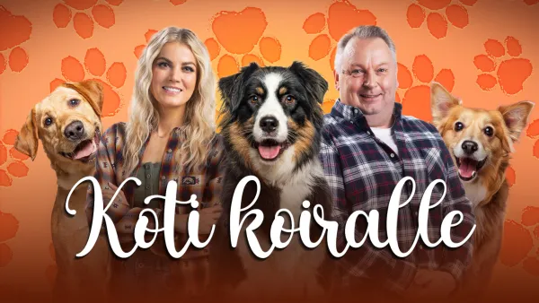 Koti koiralle