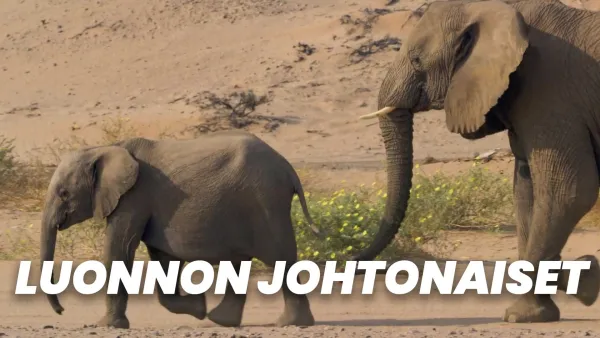 Luonnon johtonaiset