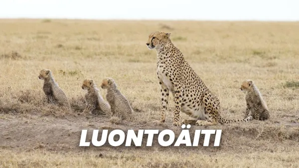 Luontoäiti