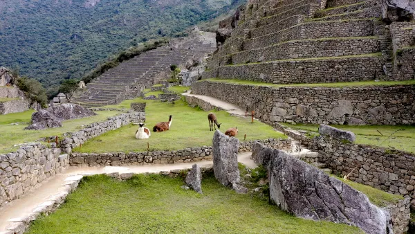 Macchu Picchu: Kivikaupunki