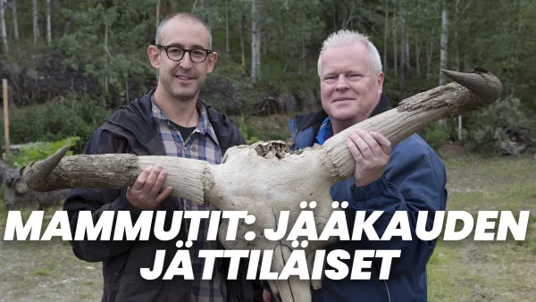 Mammutit: Jääkauden jättiläiset