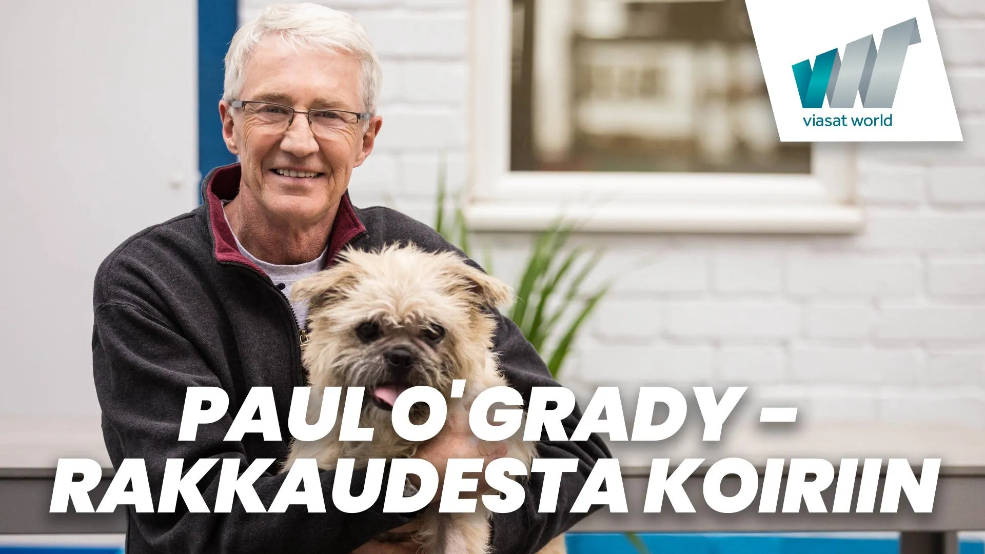 Paul O?Grady ? rakkaudesta koiriin