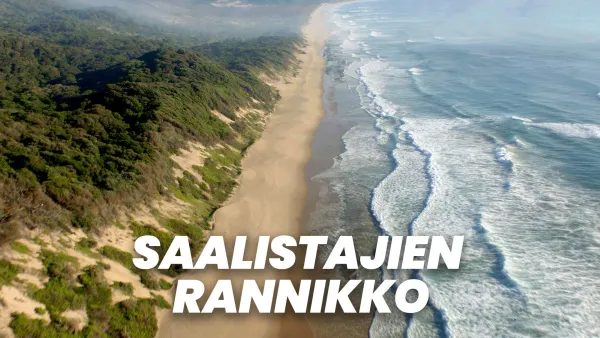 Saalistajien rannikko