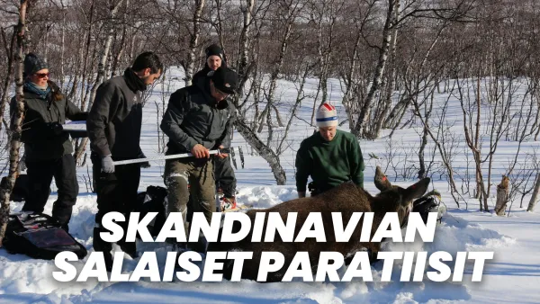 Skandinavian salaiset paratiisit