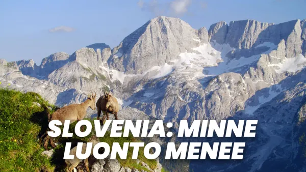 Slovenia: Minne luonto menee