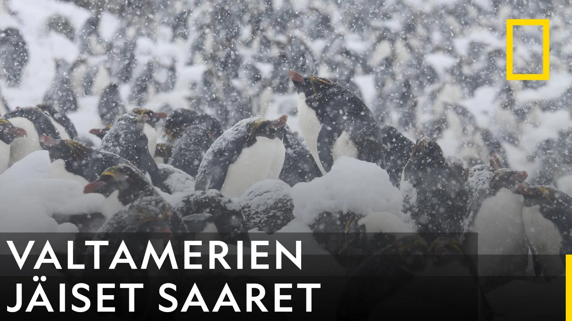 Valtamerien jäiset saaret