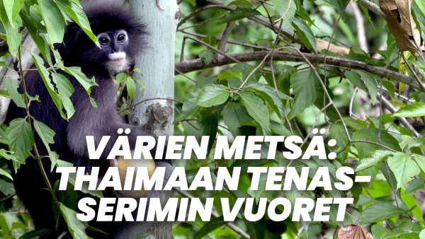 Värien metsä: Thaimaan Tenasserimin vuoret