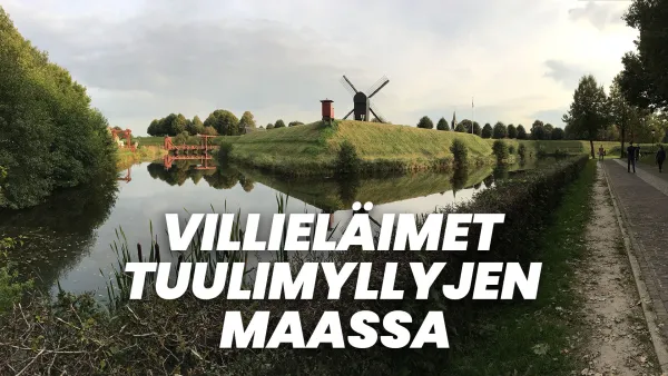 Villieläimet tuulimyllyjen maassa