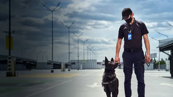 Airport Security Denmark