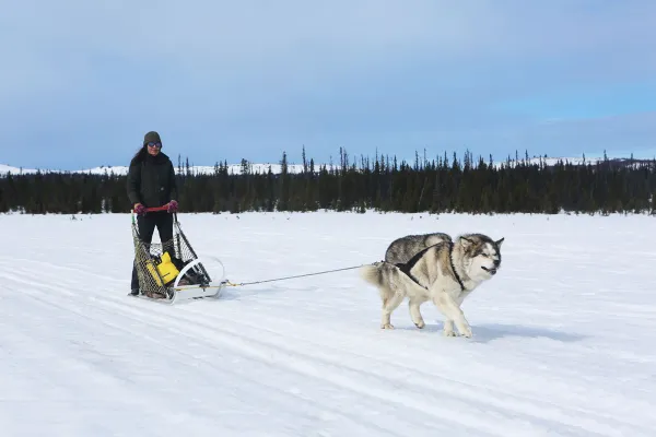Alaska: Surviving the Last Frontier