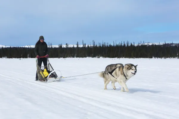 Alaska: Viimeinen rintama