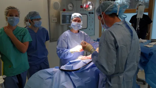 Animal ER