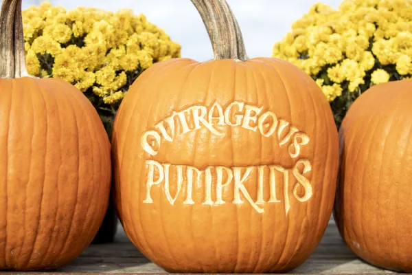 Outrageous Pumpkins