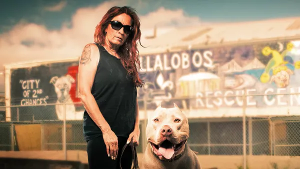 Pit Bulls & Parolees