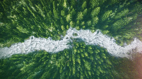 River of No Return