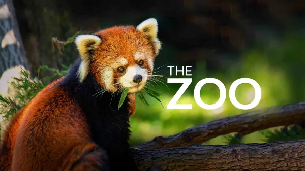 The Zoo