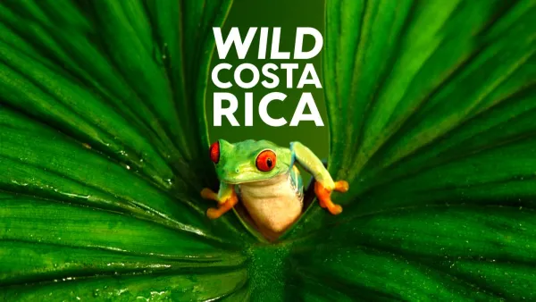 Wild Costa Rica
