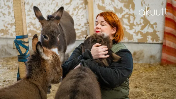 Akuutti: Löytöretki lohtuun