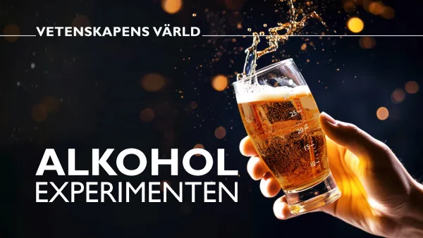 Alkoholikokeilu