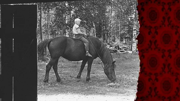 Arkistosta revittyä: Hevonen
