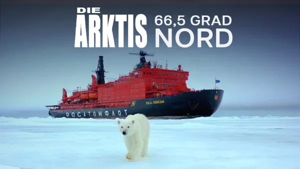 Arktinen kriisi